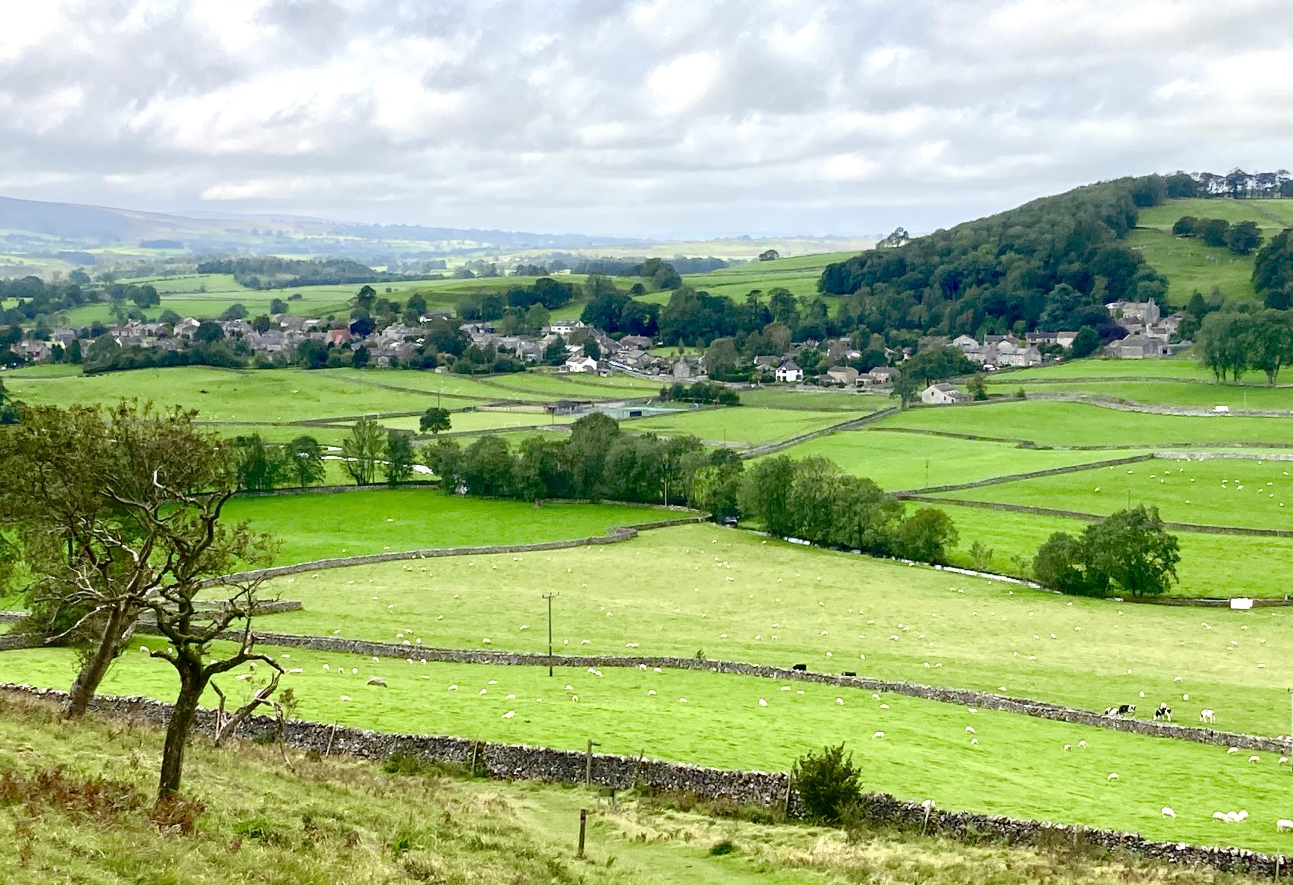 Austwick